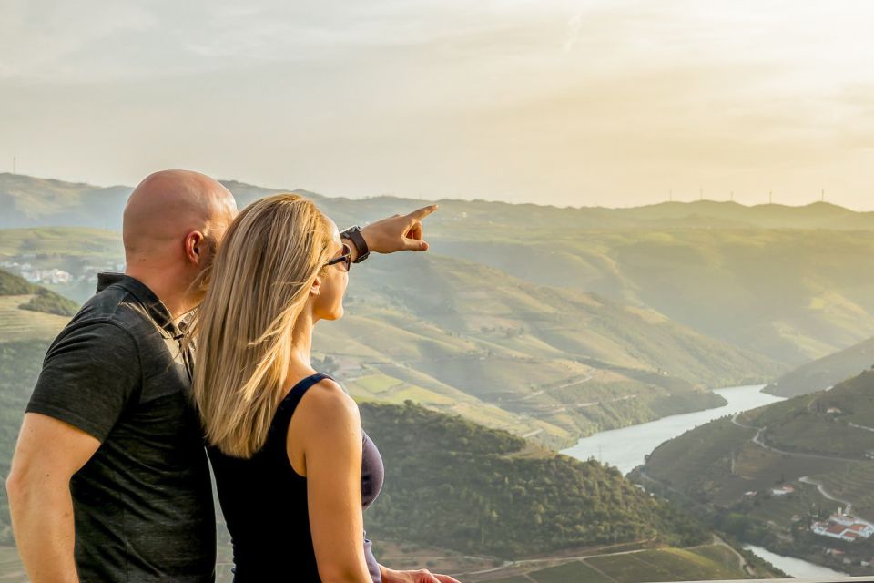 Porto: Douro Valley Tour with Wine Tasting, Cruise and Lunch - Two winery stops and port wine tastings you can actually compare