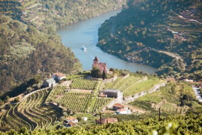 Porto: Douro Valley Tour with Wine Tasting, Cruise and Lunch - Lunch in the Douro: Portuguese comfort food, with diet options handled