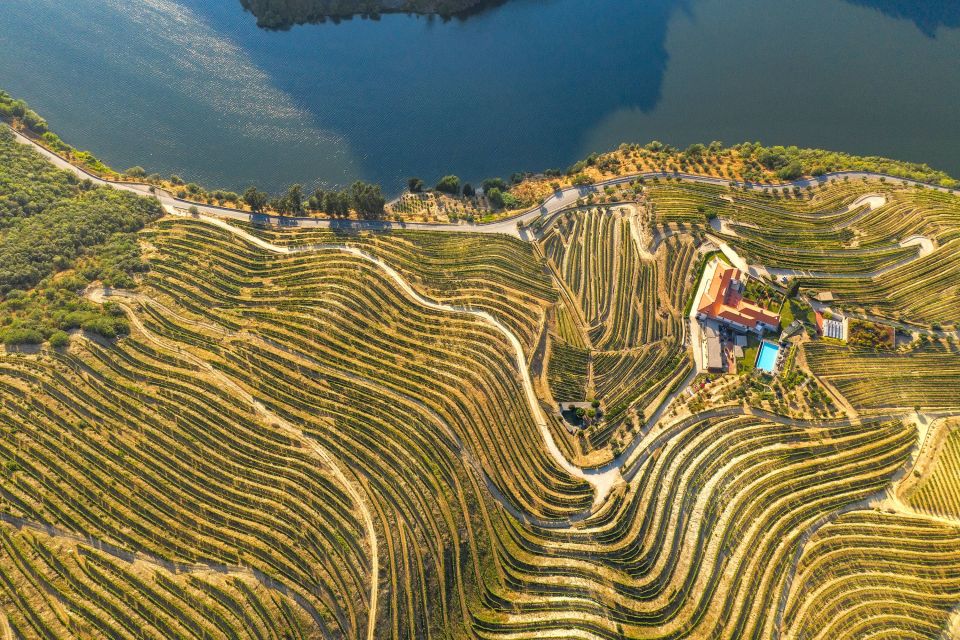 Porto: Douro Valley Tour with Wine Tasting, Cruise and Lunch - Group size, timing, and where you meet in Porto