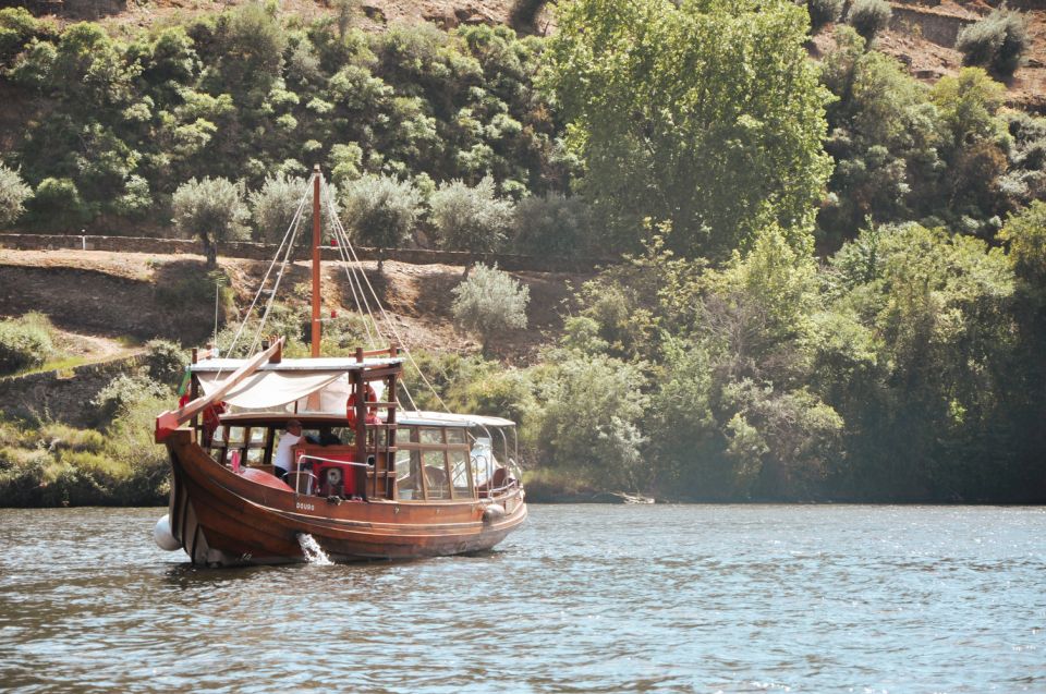 Porto: Douro Valley Tour with Wine Tasting, Cruise and Lunch - Who this tour suits best (and who should skip it)