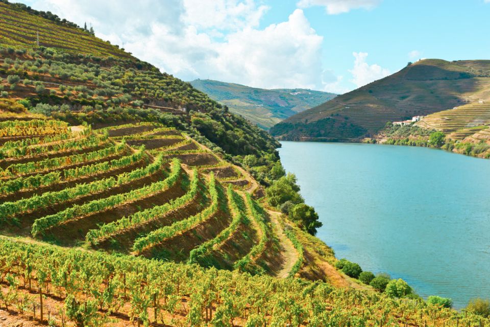 Porto: Douro Valley Tour with Wine Tasting, Cruise and Lunch - Should you book the Porto Douro Valley tour with wine tasting and cruise?