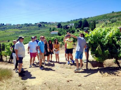 Porto: Douro Valley Vineyards Tour with Lunch & River Cruise - The Ride: How the Day Stays Comfortable
