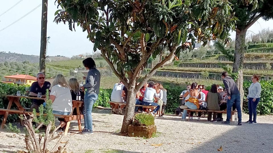 Porto: Douro Valley Vineyards Tour with Lunch & River Cruise - Timing, Walking, and When to Plan for a Shorter Day