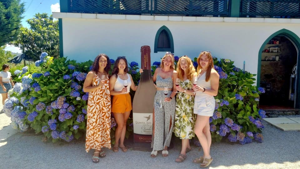 Porto: Douro Valley Vineyards Tour with Lunch & River Cruise - Who This Tour Fits Best