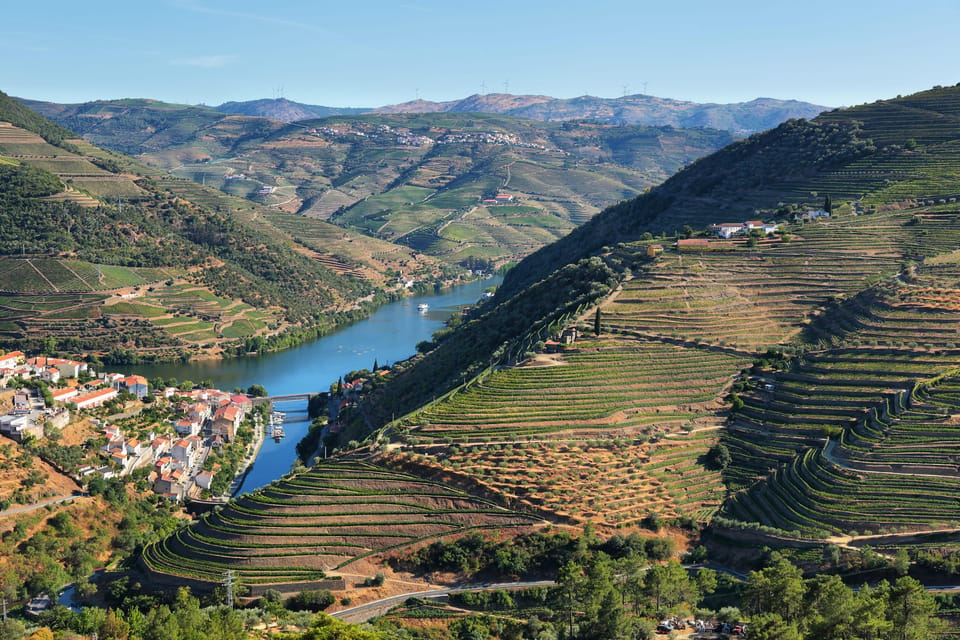 Porto: Douro Valley Wine Tour with a Sommelier & Boat Trip - First Stop in Vinho Verde: Vineyards, Olive Grove, and a Family-Run Winery
