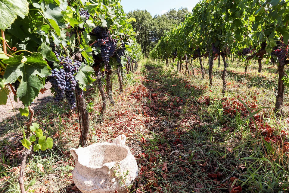 Porto: Douro Valley Wine Tour with a Sommelier & Boat Trip - Pinhão Lunch and the Douro Boat Cruise: Good Food, Then Slow Time