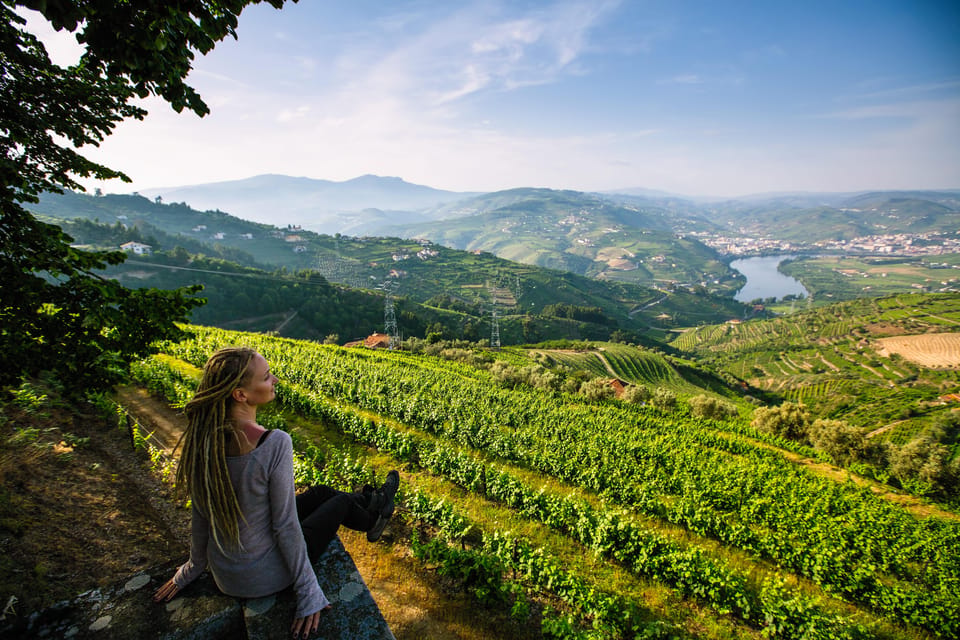 Porto: Douro Valley Wine Tour with a Sommelier & Boat Trip - What You’ll Taste: 15 Wines, Ports, DOC Pairings, and Organic Options