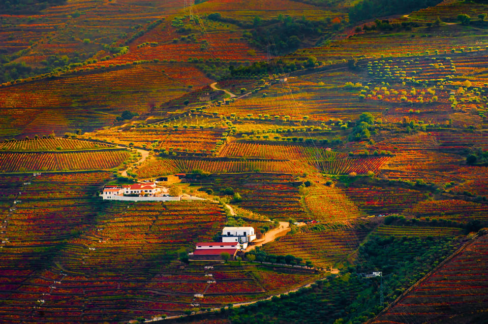 Porto: Douro Valley Wine Tour with a Sommelier & Boat Trip - The Fun Stuff: Port Tongs, Fire, and Sparkling Wine with a Sabre