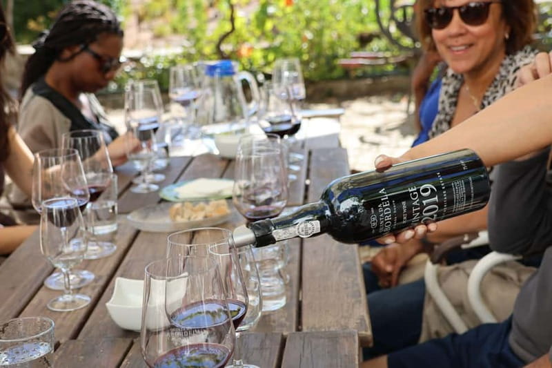 Porto: Douro Valley with Small Wineries, Lunch and Boat Tour - Small Wineries in the Douro: What You Actually Get on the Wine Stops