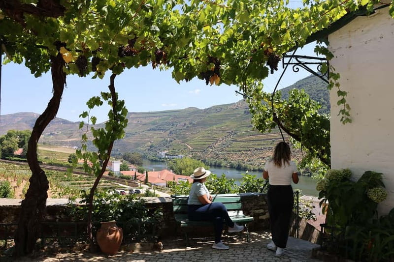 Porto: Douro Valley with Small Wineries, Lunch and Boat Tour - Douro Scenery Between Stops: N222 Road Stops and a Quick River Photo Break