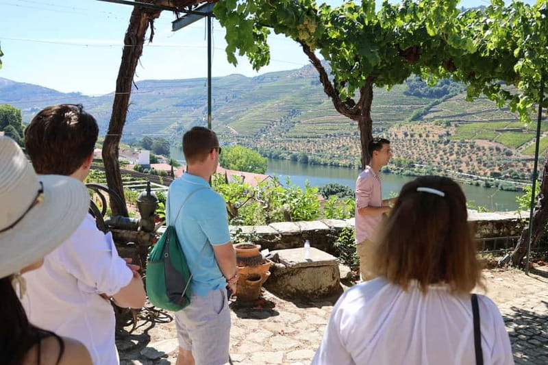 Porto: Douro Valley with Small Wineries, Lunch and Boat Tour - Pinhão, Lunch, and the 1-Hour Douro Boat Cruise