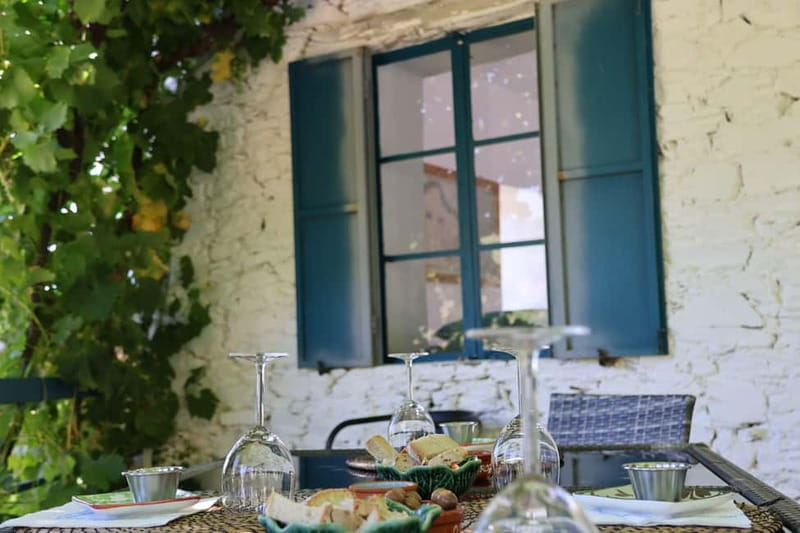 Porto: Douro Valley with Small Wineries, Lunch and Boat Tour - The Day’s Pace: Why It Feels Full, Not Crushed
