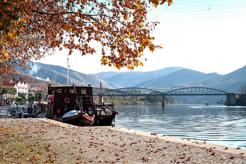 Porto: Douro Wine Tour with Lunch and River Cruise - Douro Valley, but with a small-group pace that makes sense