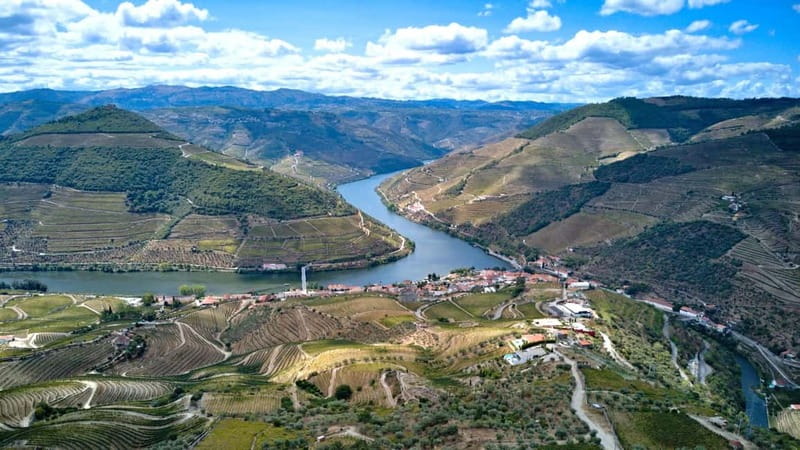 Porto: Douro Wine Tour with Lunch and River Cruise - Should you book Porto: Douro Wine Tour with Lunch and River Cruise?