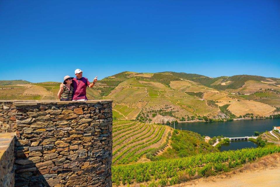 Porto: Douro Wine Tour with Lunch and River Cruise - What the price really buys: value for wine, lunch, cruise, and a guide