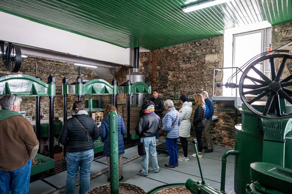 Porto: Douro Wine Tour with Lunch and River Cruise - Who should book this Douro tour (and who might skip it)
