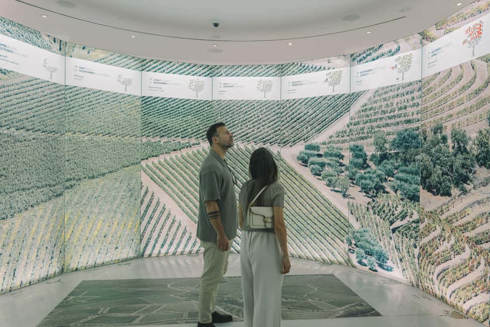 Porto: Entry Ticket at WOW - The Wine Experience Museum - Should you book the WOW Wine Experience entry ticket?