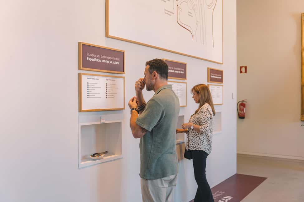 Porto: Entry Ticket at WOW - The Wine Experience Museum - WOW Wine Experience in Porto: what you’re really signing up for
