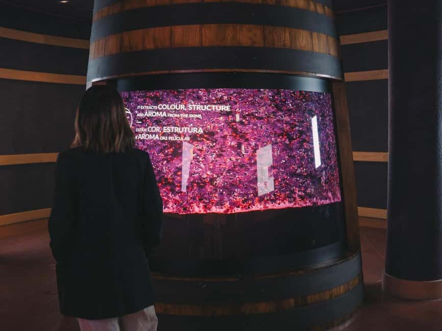 Porto: Entry Ticket at WOW - The Wine Experience Museum - Who should book the WOW Wine Experience, and who might want something else