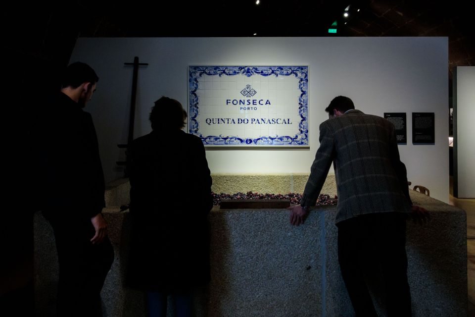 Porto: Fonseca Cellar Tour & Fado Show with Optional Dinner - The practical side: comfort, footwear, and dress sense