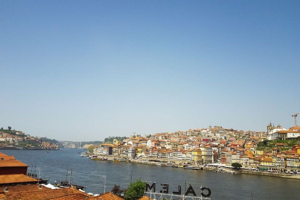 Porto: Guided Walking Tour and Lello Bookshop - Clérigos Church: the iconic stop that helps you read the skyline