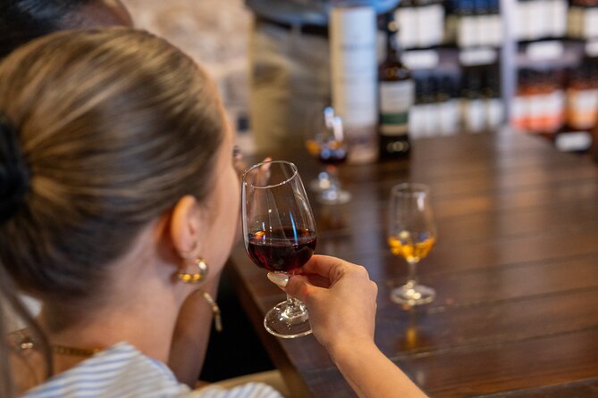 Porto Half-Day Guided Historical Tour with Port Cellar Visit and Tasting - Port wine cellar visit and tasting: learning, then tasting two styles