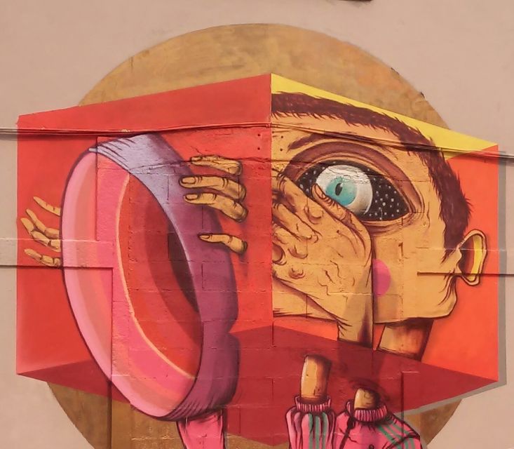 Porto: Half-Day Street Art Tour - Price and what $25 really buys you in Porto