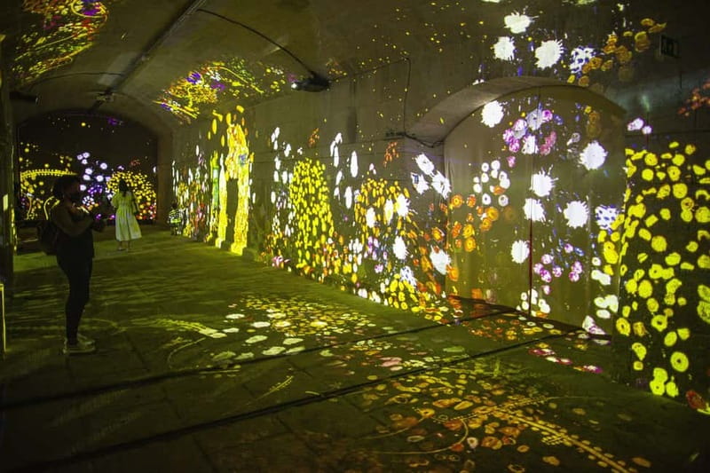 Porto: Impressive Monet & Brilliant Klimt - Light, sound, and safety: know the epilepsy warning before you go
