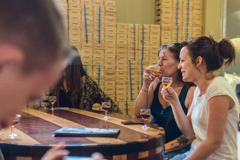 Porto: Magic Train Tour and Port Wine Cellar with Tastings - Key things I’d highlight before you go
