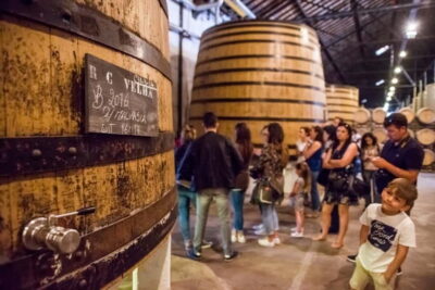 Porto: Magic Train Tour and Port Wine Cellar with Tastings - Getting on at Sé Catedral and using the audio guide