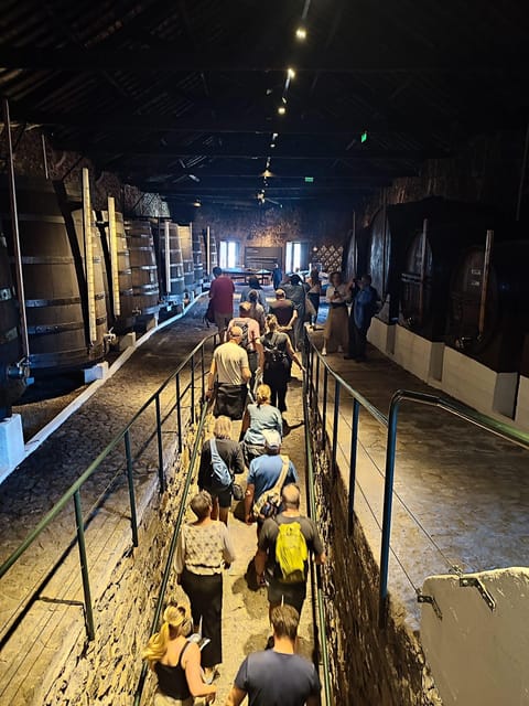Porto: Port and Douro Wine Walking Tour with 9 Tastings - Stop 1: Vasques de Carvalho and your first Port impressions