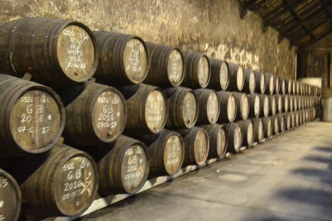 Porto: Port and Douro Wine Walking Tour With 9 Wine Tastings - Guide Energy in English: Rico, Rita, Ricardo, Pedro, and Luiz