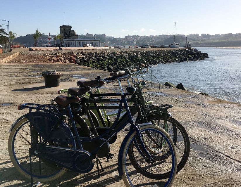 Porto: Riverside Panoramic E-Bike Tour - Jardim do Cálem: park time without losing the story