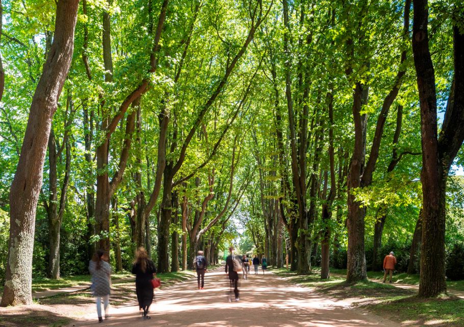 Porto: Serralves Park Entry Ticket - The house and art exhibition stop that breaks up the greenery