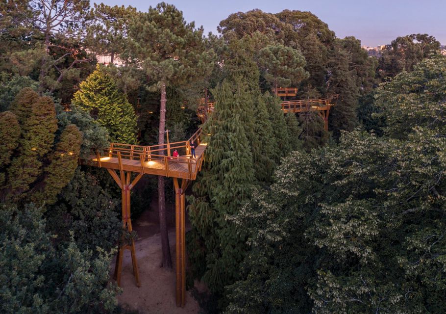 Porto: Serralves Park Entry Ticket - The self-guided route: gardens that feel like an outdoor classroom