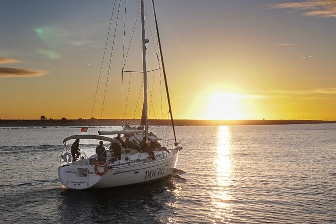 Porto: Sunset or Daytime, Charming Sailboat Cruise on the Douro River - Key highlights you’ll feel on this Douro cruise