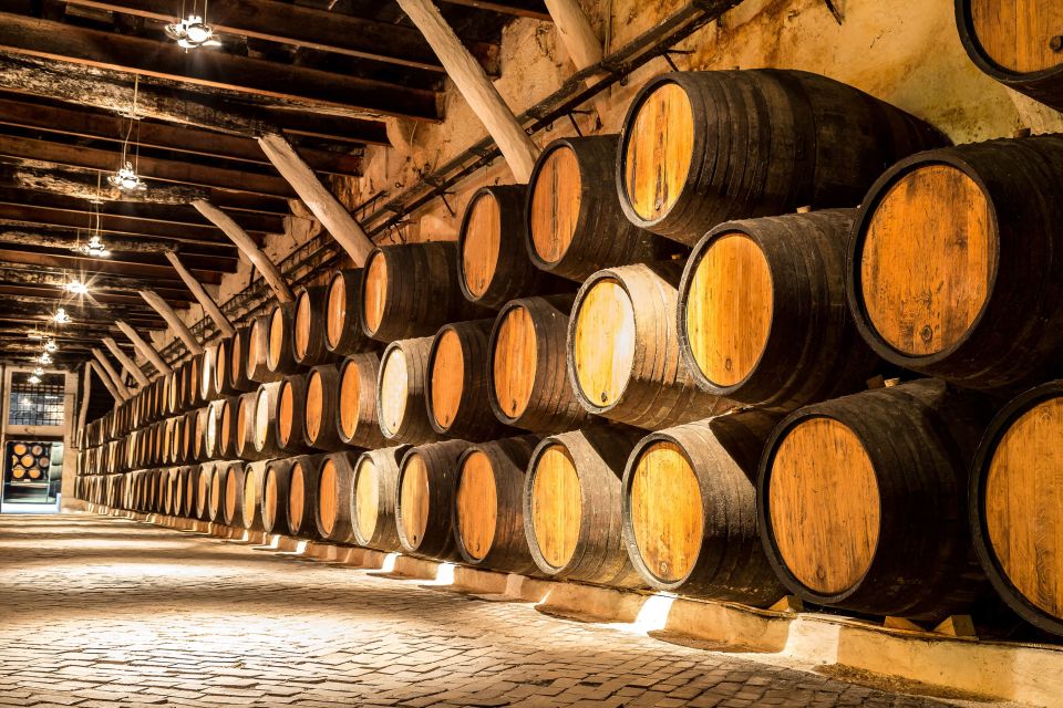 Porto: Tuk-Tuk Tour, Douro River Cruise, and Wine Tasting - Who This Tour Suits (and Who Should Rethink It)
