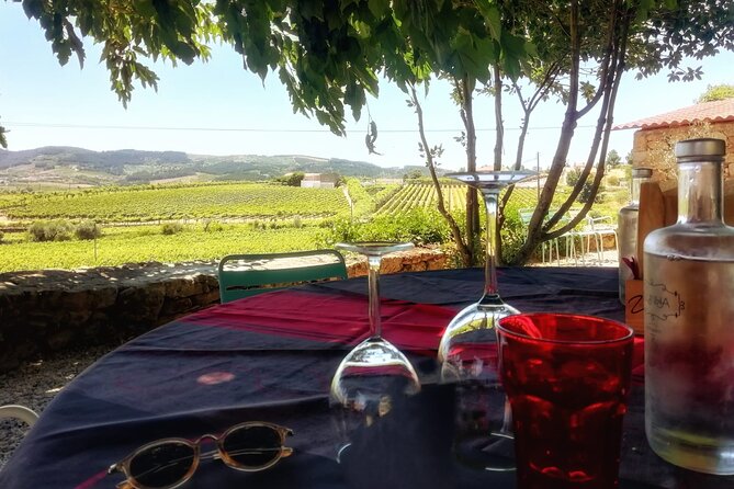 Premium Douro Valley Small-Group Tour, Wine Tasting, Lunch & Boat - Porto to Douro Valley: the ride that sets the tone