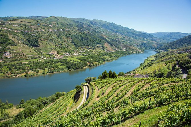 Premium Douro Valley Small-Group Tour, Wine Tasting, Lunch & Boat - Casa dos Barros lunch: panoramic food with a real menu choice