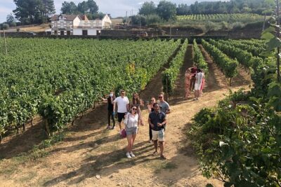 Premium Douro Valley Small-Group Tour, Wine Tasting, Lunch & Boat - Pinhão and the Douro River: your one-hour reset on water