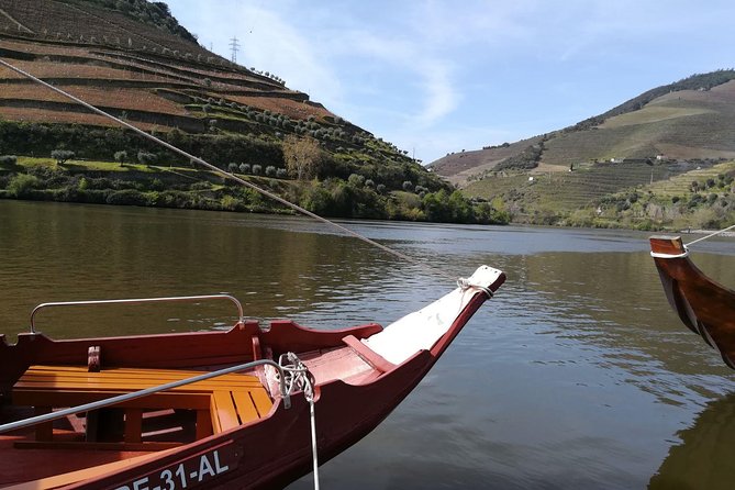 Premium Douro Valley Small-Group Tour, Wine Tasting, Lunch & Boat - Vilarinho de São Romão: olive oil, honey, and a local producer chat