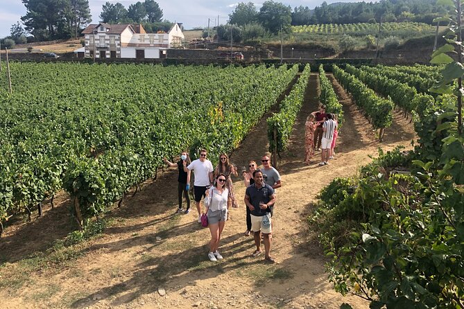 Premium Douro Valley Small-Group Tour, Wine Tasting, Lunch & Boat - Pinhão and the Douro River: your one-hour reset on water