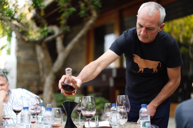Premium Private Douro Tour: 3 Wineries with Tastings & Lunch - A Douro Valley day that starts with Porto ease