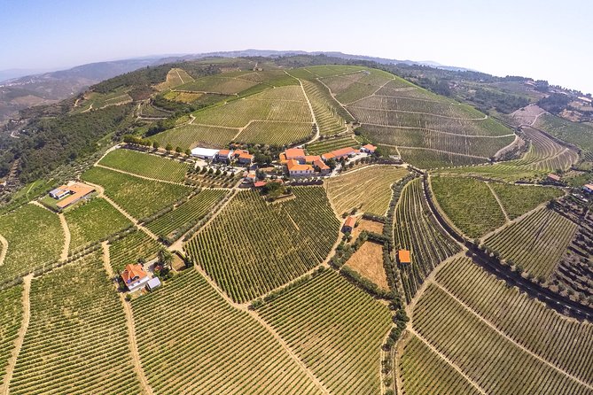 Premium Private Douro Tour: 3 Wineries with Tastings & Lunch - The drive to Pinhão: viewpoints, tiles, and lunch in the middle