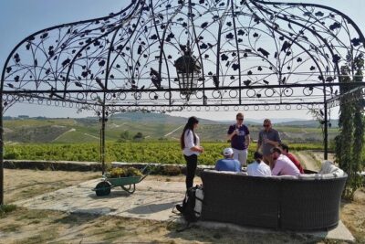 Premium Private Douro Tour: 3 Wineries with Tastings & Lunch - Stop 1 at Quinta de Avessada: Moscatel first, then WOW