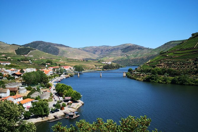 Premium Private Douro Tour: 3 Wineries with Tastings & Lunch - Quinta de Tourais: Douro DOC and Port, side by side
