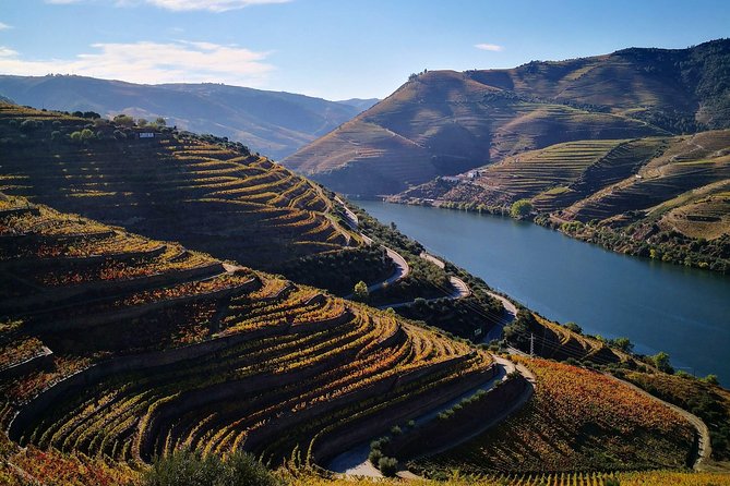 Premium Private Douro Tour: 3 Wineries with Tastings & Lunch - Quinta Seara d’Ordens: Port styles, plus olive oil and nuts