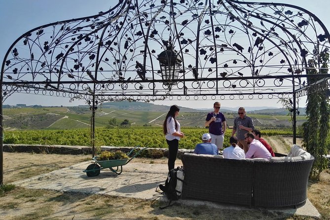 Premium Private Douro Tour: 3 Wineries with Tastings & Lunch - Stop 1 at Quinta de Avessada: Moscatel first, then WOW