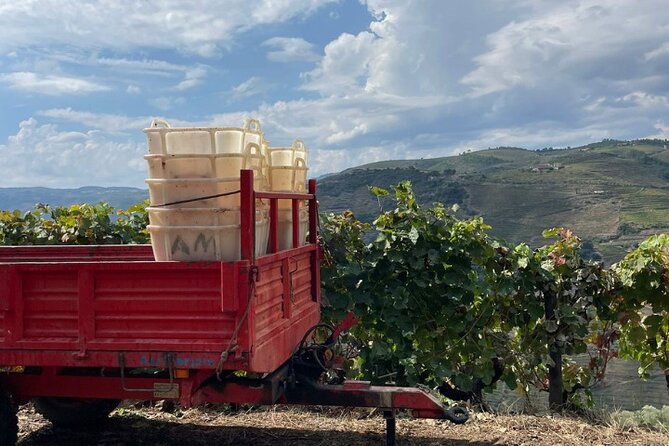 Private Douro 4x4 Adventure from Porto with Deluxe Pic nic - The 4x4 Drive: Why Narrow Roads Beat the Usual Loop