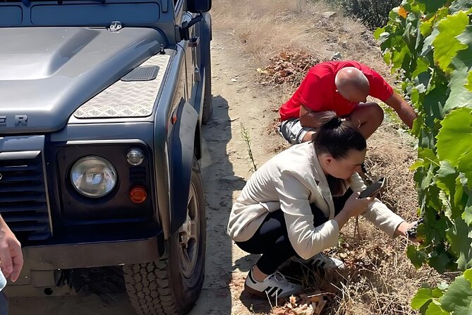 Private Douro 4x4 Adventure from Porto with Deluxe Pic nic - Quinta Seara d’Ordens: Winery Visit Plus Port and Wine Tasting